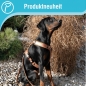 Preview: Petlando Mesh verstellbare Führleine anthrazit