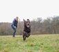 Preview: Owney Regenjacke Vela blau