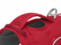 Preview: Ruffwear Web Master rot