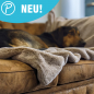 Preview: Petlando Decke Alaska grau