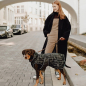 Preview: Hunter  coat for dogs Monaco