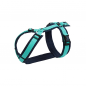 Preview: Harness Fun Ocean