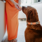 Preview: Hunter Collar Malia apricot/nature