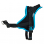 Preview: Training Harness GUIDE lightblue