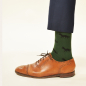 Preview: KRAWATTENDACKEL Socken Grün Fuchs Schwarz