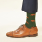 Preview: KRAWATTENDACKEL Socks green - Wild Boar brown