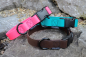 Preview: Treusinn STAY biothane dog collar brown 25 mm