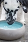 Preview: Treusinn Dogbowl PUR aqua