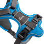 Preview: Hunter Harness DIVO light blue/grey