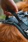 Preview: Hurtta Weekend Warrior harness black Desert