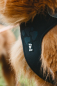 Preview: Hurtta Weekend Warrior harness black Desert