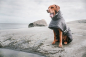 Preview: Hurtta Winterjacke "Extreme Warmer" brombeere