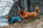 Preview: Hurtta Monsoon Coat heidelbeere