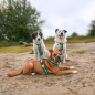 Preview: Harness Fun Ocean