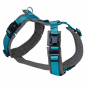 Preview: Petlando Magnetech Y - Comfort Geschirr Anthrazit/Petrol
