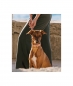Preview: Brott Collar Textura Miravet