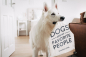 Preview: Treusinn ECO Turnbeutel Canvas "Dogs are my favorite people"