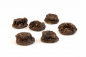 Preview: Trockenbarf Complete Plus Pferd