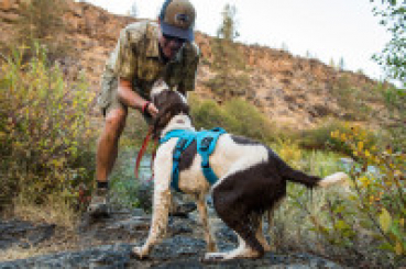 Preview: Ruffwear Web Master rot