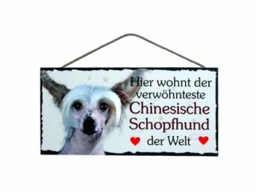 Hundeschild Chinesischer Schopfhund