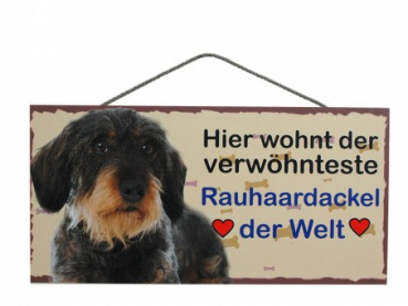 Hundeschild Rauhaardackel