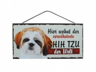 Dogsign Shih Tzu