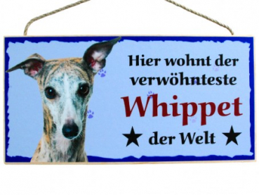 Hundeschild Whippet