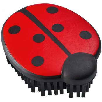 V-Brush Beetle