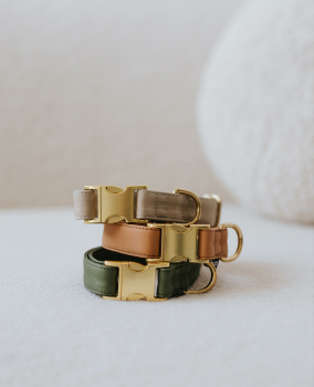 Preview: Brott Halsband "Green Musk" - veganes Leder mit goldener Schnalle