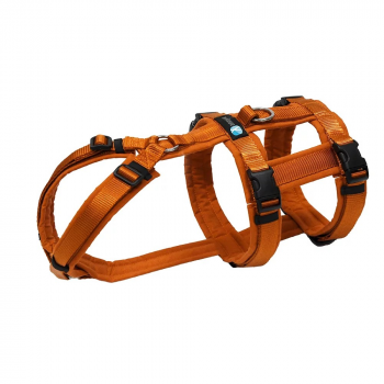 Anny-X Brustgeschirr safety Ahorn