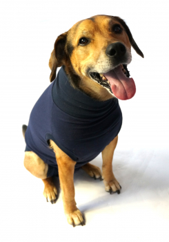 Vetlando Post OP Body  blau