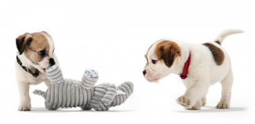 Preview: Hunter Hundespielzeug Huggly Giraffe