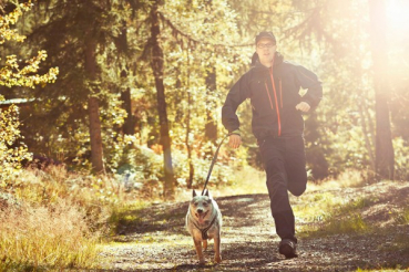 Preview: Hurtta Jogging Leine "Jogging leash" kirsch