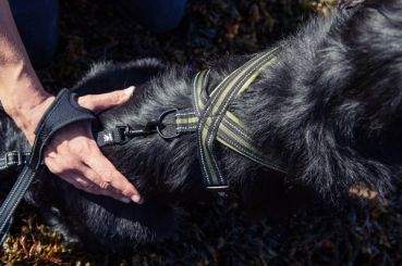 Preview: Hurtta Jogging Leine "Jogging leash" kirsch