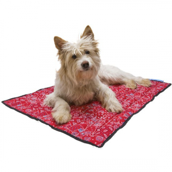 Aqua Coolkeeper L 80x60 cm Red Western