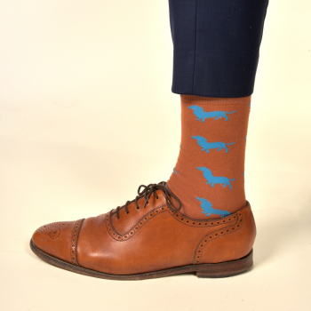 Preview: KRAWATTENDACKEL Socken Braun Dackel Blau