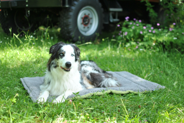 Preview: Petlando Travelmat Style Karo