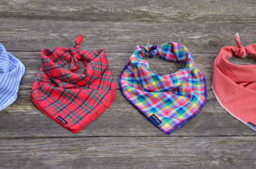 Treusinn Hundehalstuch Bandana Bern (rot-gestreift)