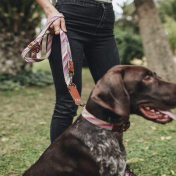 Preview: Ladran Gaucho Führleine Scooby Doo