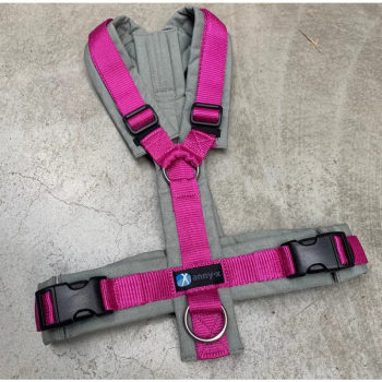 Harness Fun grey-pink