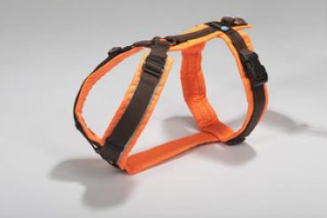 Anny-X Brustgeschirr Protect leuchtorange/braun