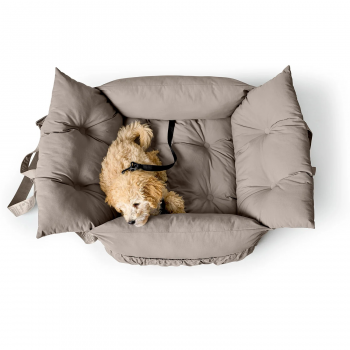 Preview: Hunter 2-in-1 Autositz und Reisebett Seoul