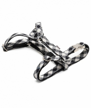 Brott H-Harness Textura Cadi