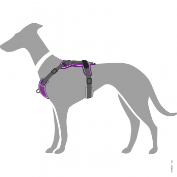 Preview: Hunter Harness DIVO vgreen/grey