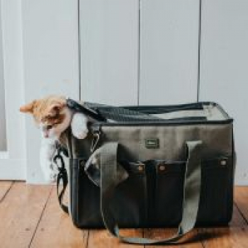 Preview: Hunter Tragetasche Madison khaki