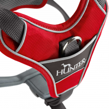 Preview: Hunter Brustgeschirr DIVO rot/grau