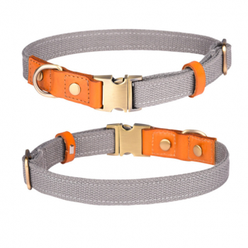 Prinz Poldi collar grey