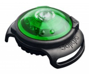 Orbiloc Dog Dual Hundelampen grün