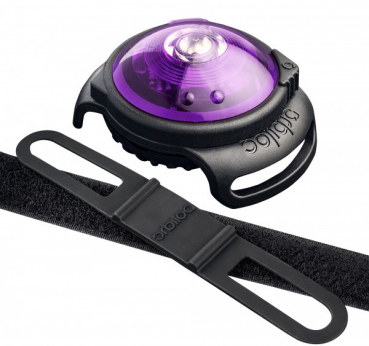 Preview: Orbiloc Dog Dual Hundelampen lila