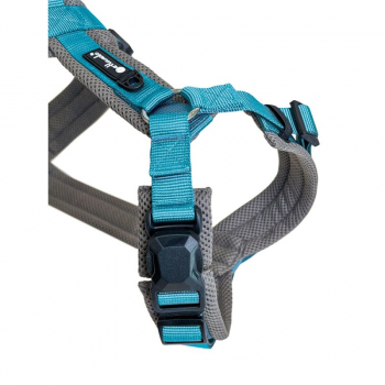 Preview: Petlando Magnetech Y - Comfort Geschirr Anthrazit/Petrol